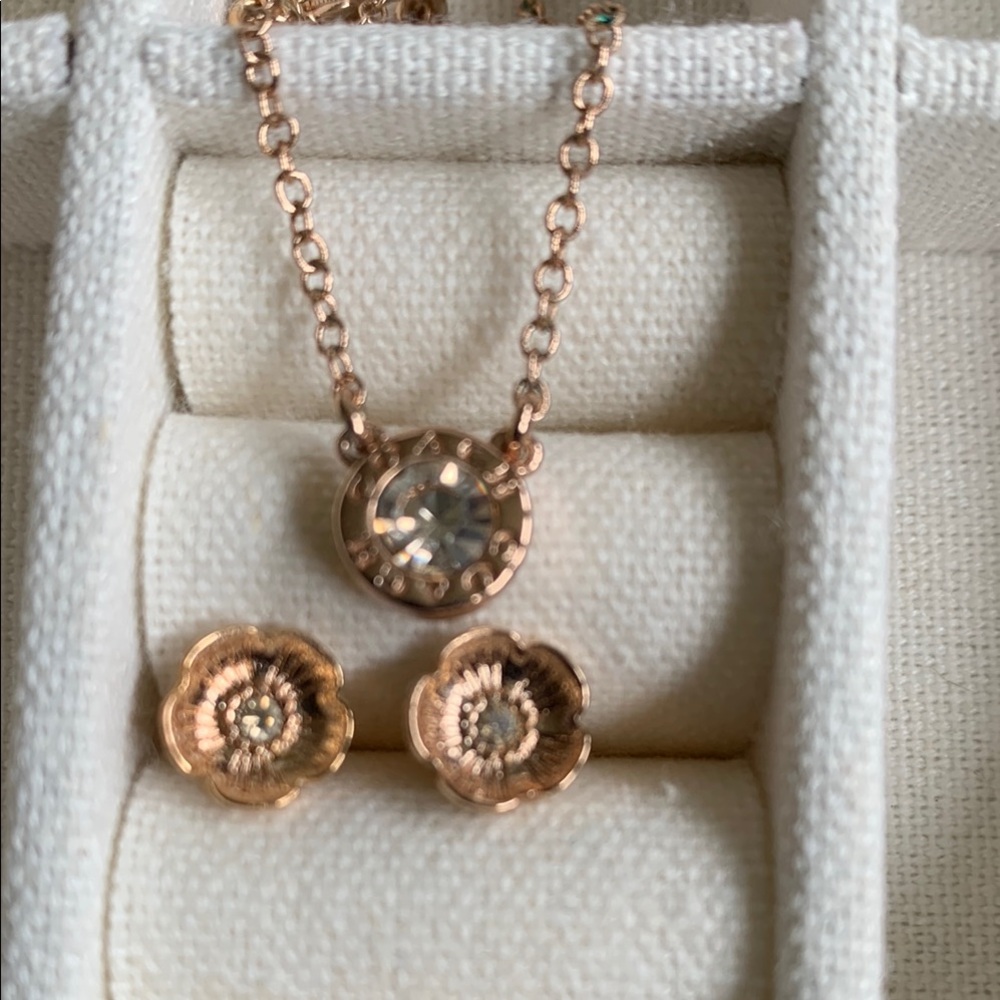 Elegant Coach Rose Gold Necklace& Earring Set from FabFitFun- smoke free home!